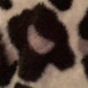 Meet your Posher, Paige